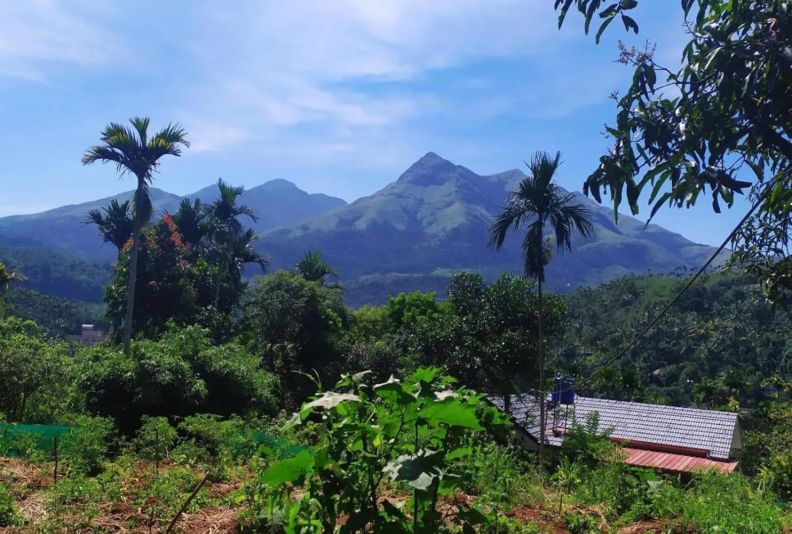 Holiday home Viha The Heaven Villa Meppadi India