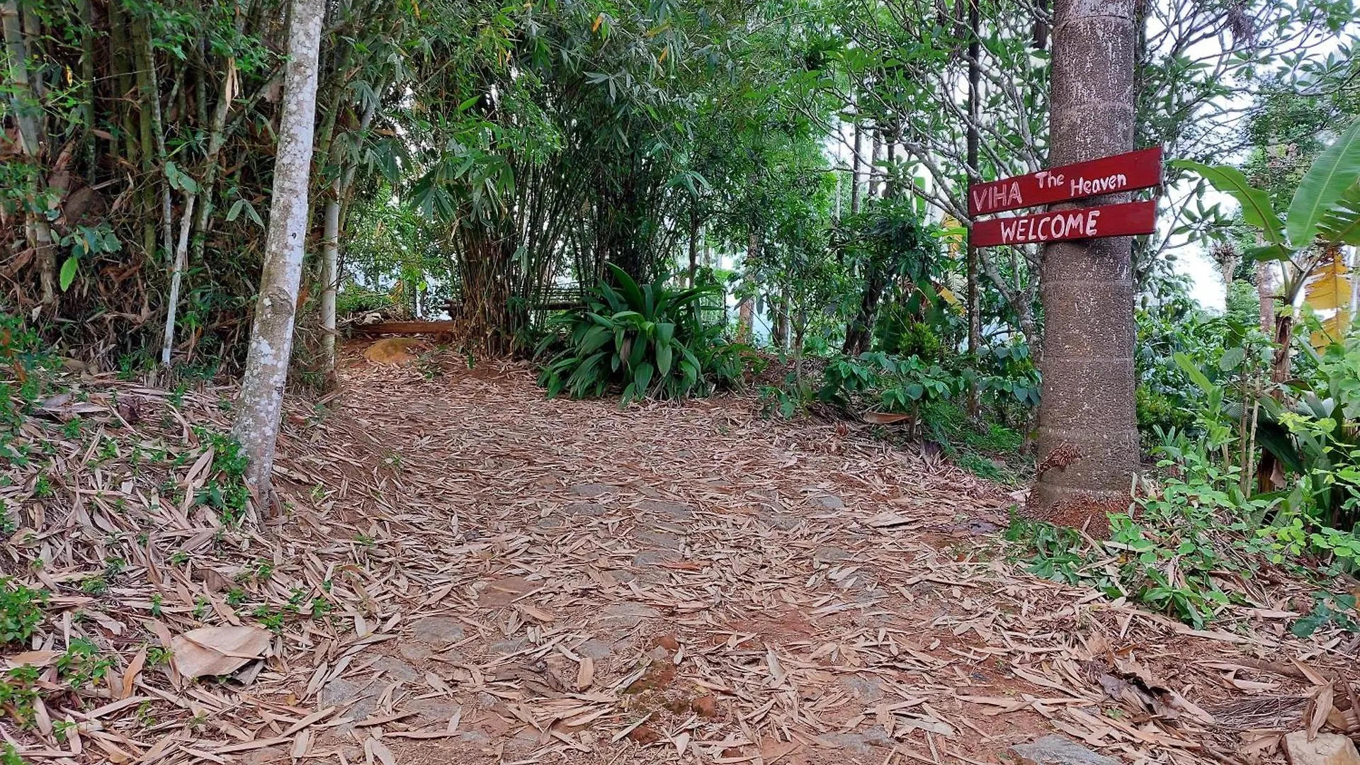 Viha The Heaven Villa Meppadi Holiday home
