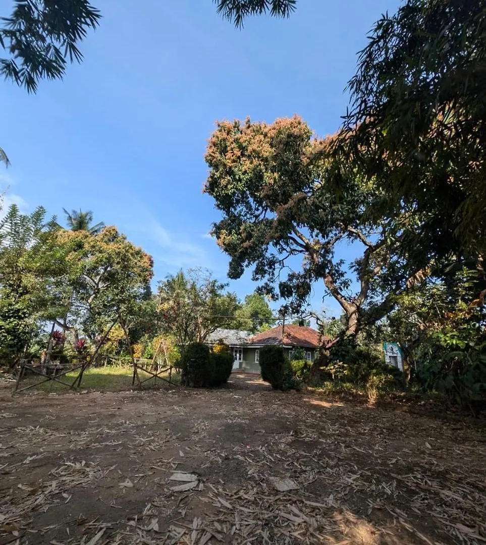 Viha The Heaven Villa Meppadi