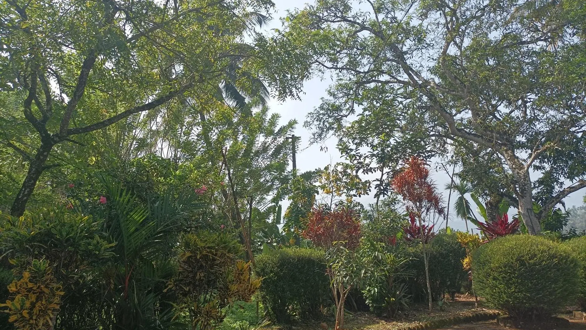 Holiday home Viha The Heaven Villa Meppadi