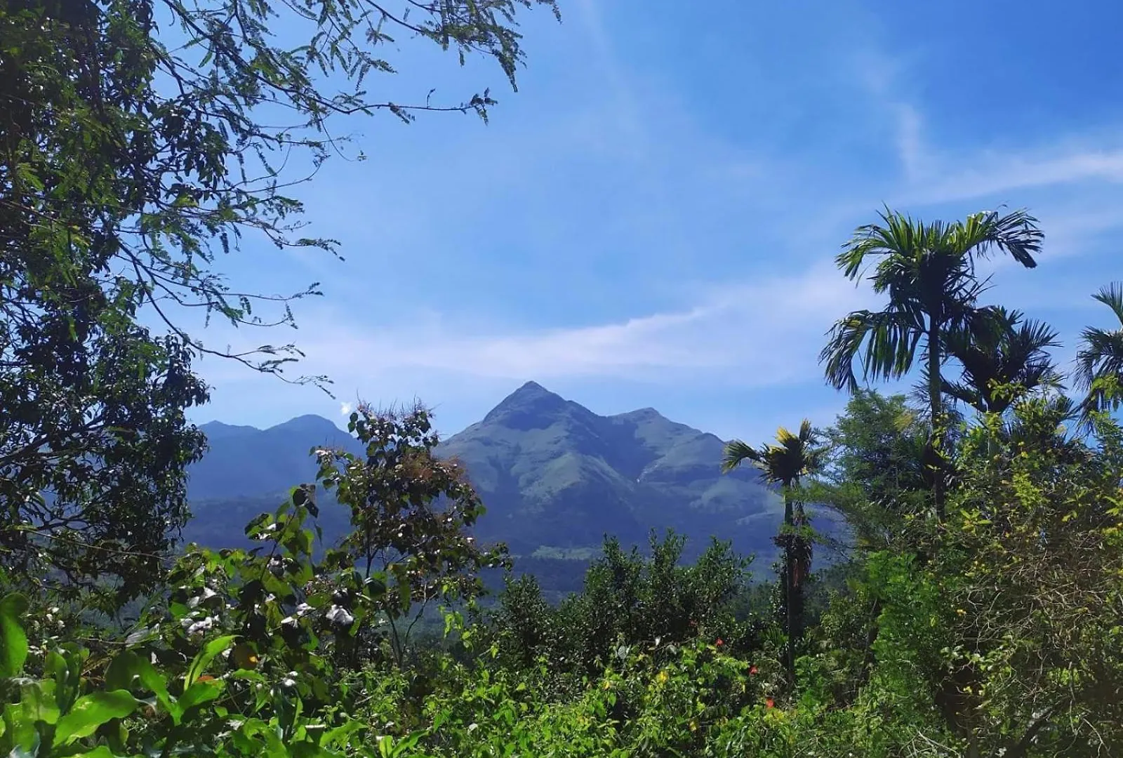 Holiday home Viha The Heaven Villa Meppadi India